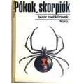 Книга Pokok, skorpiok. Пауки, скорпионы