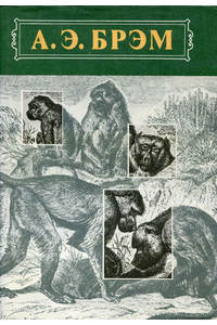 Книга Жизнь животных