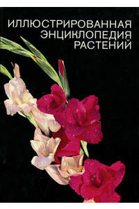 Книга Иллюстрированная энциклопедия растений