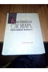 Книга Картинный словарь русского языка