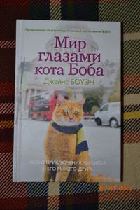 Книга Мир глаза кота Боба