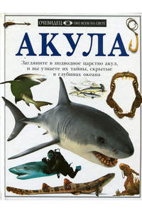 Книга Акула