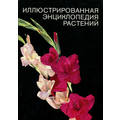 Книга Иллюстрированная энциклопедия растений