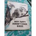 Книга Why Tuppy doesn't chase birds
