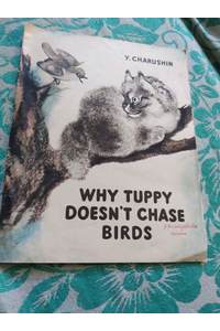 Книга Why Tuppy doesn't chase birds